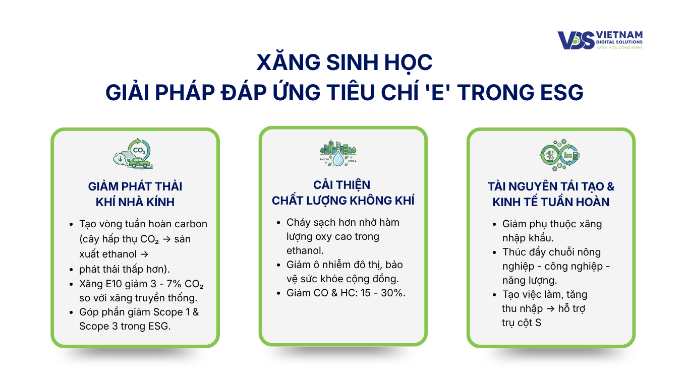 xang-sinh-hoc-giai-phap-dap-ung-tieu-chi-e